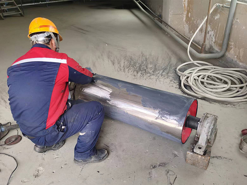 Flexilis Pulley pigri